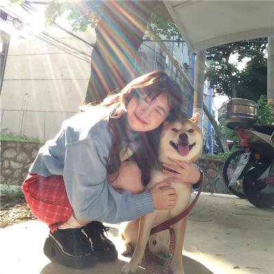 大秦帝国之裂变